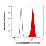 ACC1 Antibody in Flow Cytometry (Flow)