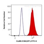 SP1 Antibody in Flow Cytometry (Flow)