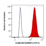 RRBP1 Antibody in Flow Cytometry (Flow)