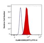 Osteopontin Antibody in Flow Cytometry (Flow)