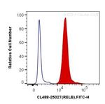 RELB Antibody in Flow Cytometry (Flow)