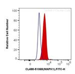ERK1/2 Antibody in Flow Cytometry (Flow)