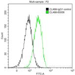 CD38 Antibody in Flow Cytometry (Flow)