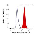GNAS Antibody in Flow Cytometry (Flow)