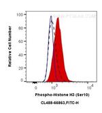 Phospho-Histone H3 (Ser10) Antibody in Flow Cytometry (Flow)