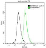 CD81 Antibody in Flow Cytometry (Flow)