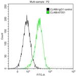 IL-4R Antibody in Flow Cytometry (Flow)