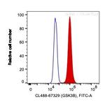 GSK3B Antibody in Flow Cytometry (Flow)