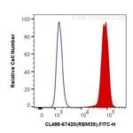 RBM39 Antibody in Flow Cytometry (Flow)