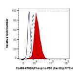 Phospho-P53 (Ser15) Antibody in Flow Cytometry (Flow)