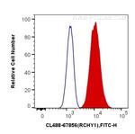 RCHY1 Antibody in Flow Cytometry (Flow)