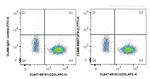 IFN Gamma Antibody in Flow Cytometry (Flow)