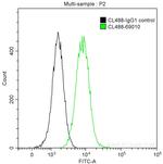 Noggin Antibody in Flow Cytometry (Flow)
