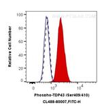 Phospho-TDP43 (Ser409, Ser410) Antibody in Flow Cytometry (Flow)
