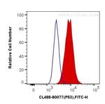 P53 Antibody in Flow Cytometry (Flow)
