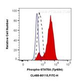 Phospho-STAT5A (Tyr694) Antibody in Flow Cytometry (Flow)