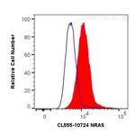 NRAS Antibody in Flow Cytometry (Flow)