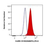 RABEPK/p40 Antibody in Flow Cytometry (Flow)