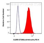 calreticulin Antibody in Flow Cytometry (Flow)