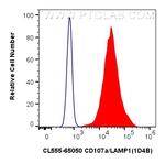 CD107a/LAMP1 Antibody in Flow Cytometry (Flow)