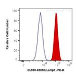 CD107a/LAMP1 Antibody in Flow Cytometry (Flow)