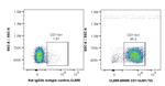 CD11b Antibody in Flow Cytometry (Flow)