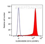 CD14 Antibody in Flow Cytometry (Flow)