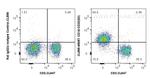 CD16/32 Antibody in Flow Cytometry (Flow)