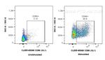 CD86 Antibody in Flow Cytometry (Flow)