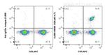 CD8a Antibody in Flow Cytometry (Flow)