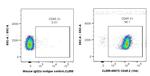 CD45.2 Antibody in Flow Cytometry (Flow)