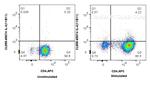 IL-4 Antibody in Flow Cytometry (Flow)