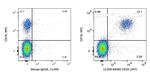 CD20 Antibody in Flow Cytometry (Flow)