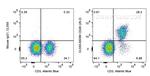 CD28 Antibody in Flow Cytometry (Flow)