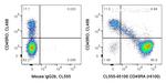 CD45RA Antibody in Flow Cytometry (Flow)