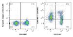 CD44 Antibody in Flow Cytometry (Flow)