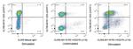 PD-1/CD279 Antibody in Flow Cytometry (Flow)