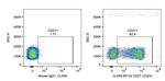 CD27 Antibody in Flow Cytometry (Flow)
