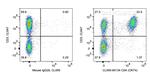 CD4 Antibody in Flow Cytometry (Flow)