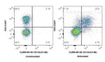 CD134 Antibody in Flow Cytometry (Flow)