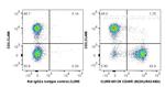 CD45R (B220) Antibody in Flow Cytometry (Flow)