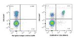 CD4 Antibody in Flow Cytometry (Flow)