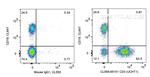 CD3 Antibody in Flow Cytometry (Flow)