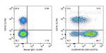 CD5 Antibody in Flow Cytometry (Flow)