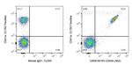 CD42b Antibody in Flow Cytometry (Flow)