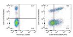 CD62P Antibody in Flow Cytometry (Flow)