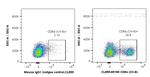 CD8a Antibody in Flow Cytometry (Flow)