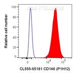 CD146 Antibody in Flow Cytometry (Flow)