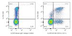 CD314/NKG2D Antibody in Flow Cytometry (Flow)