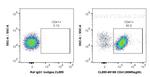 CD41 Antibody in Flow Cytometry (Flow)